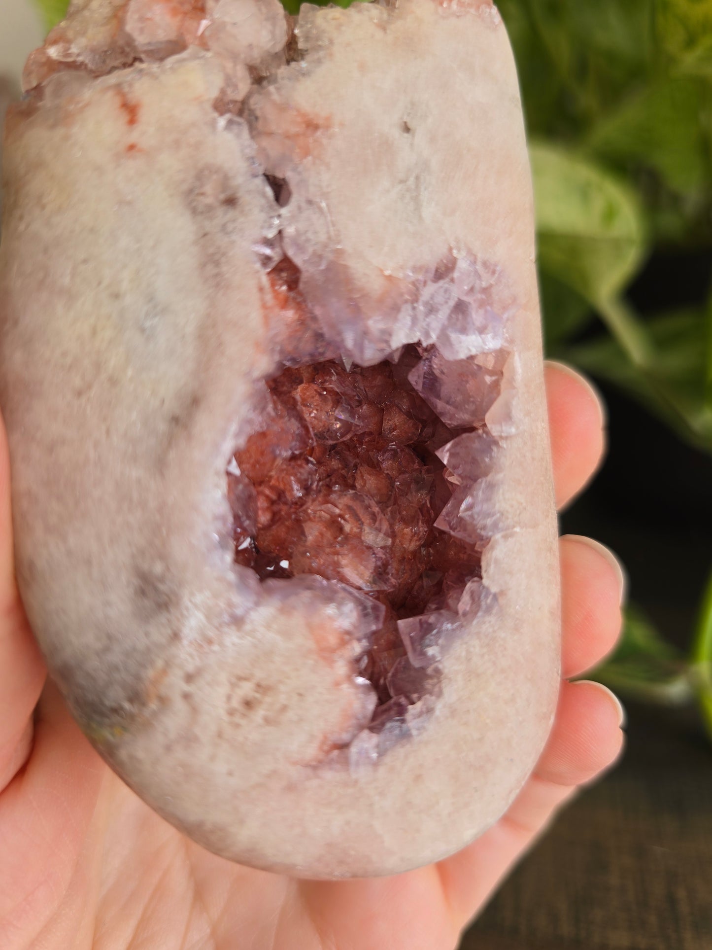 Brazilian Pink Amethyst Cluster