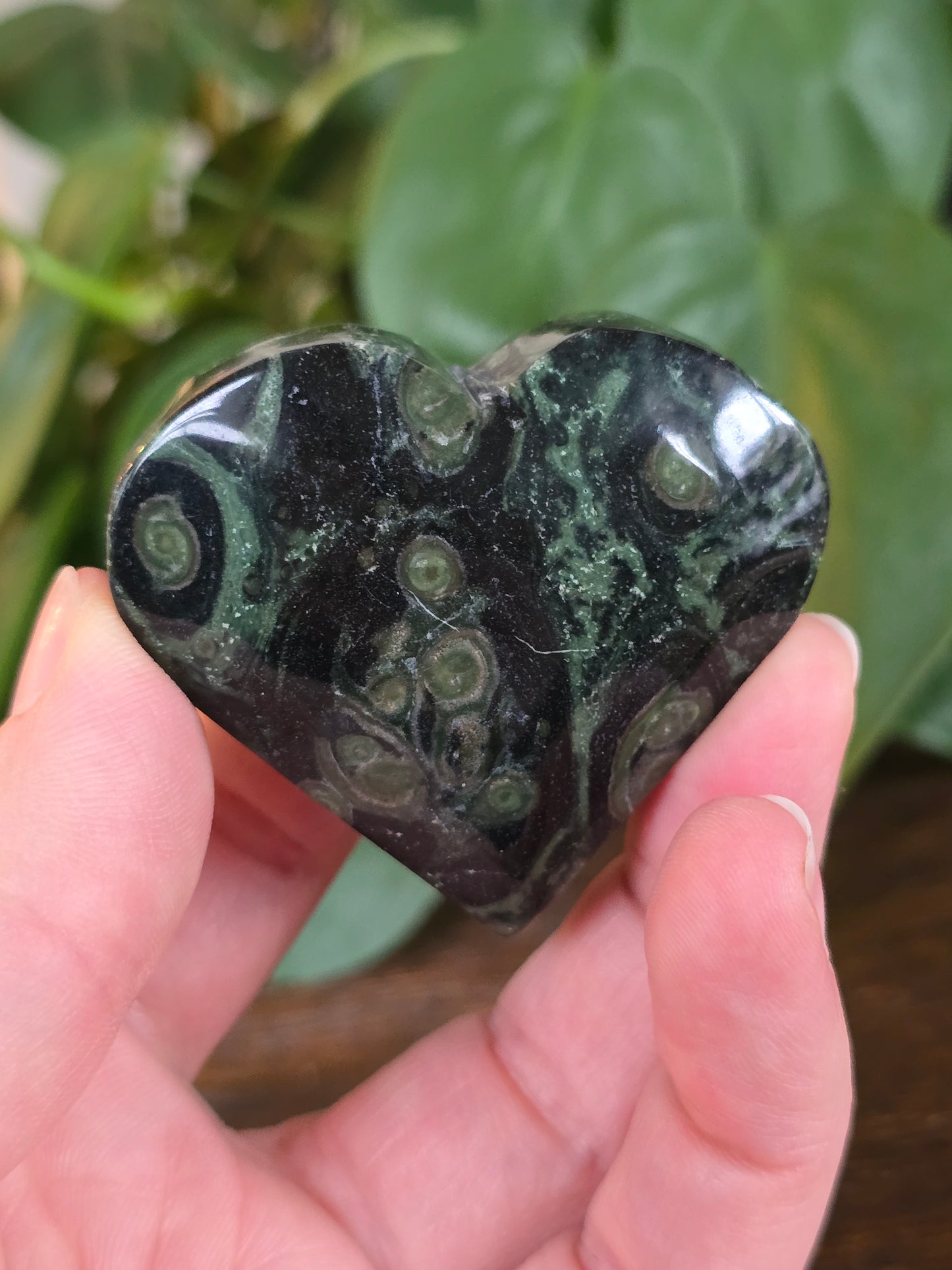 Kambaba Heart "D"