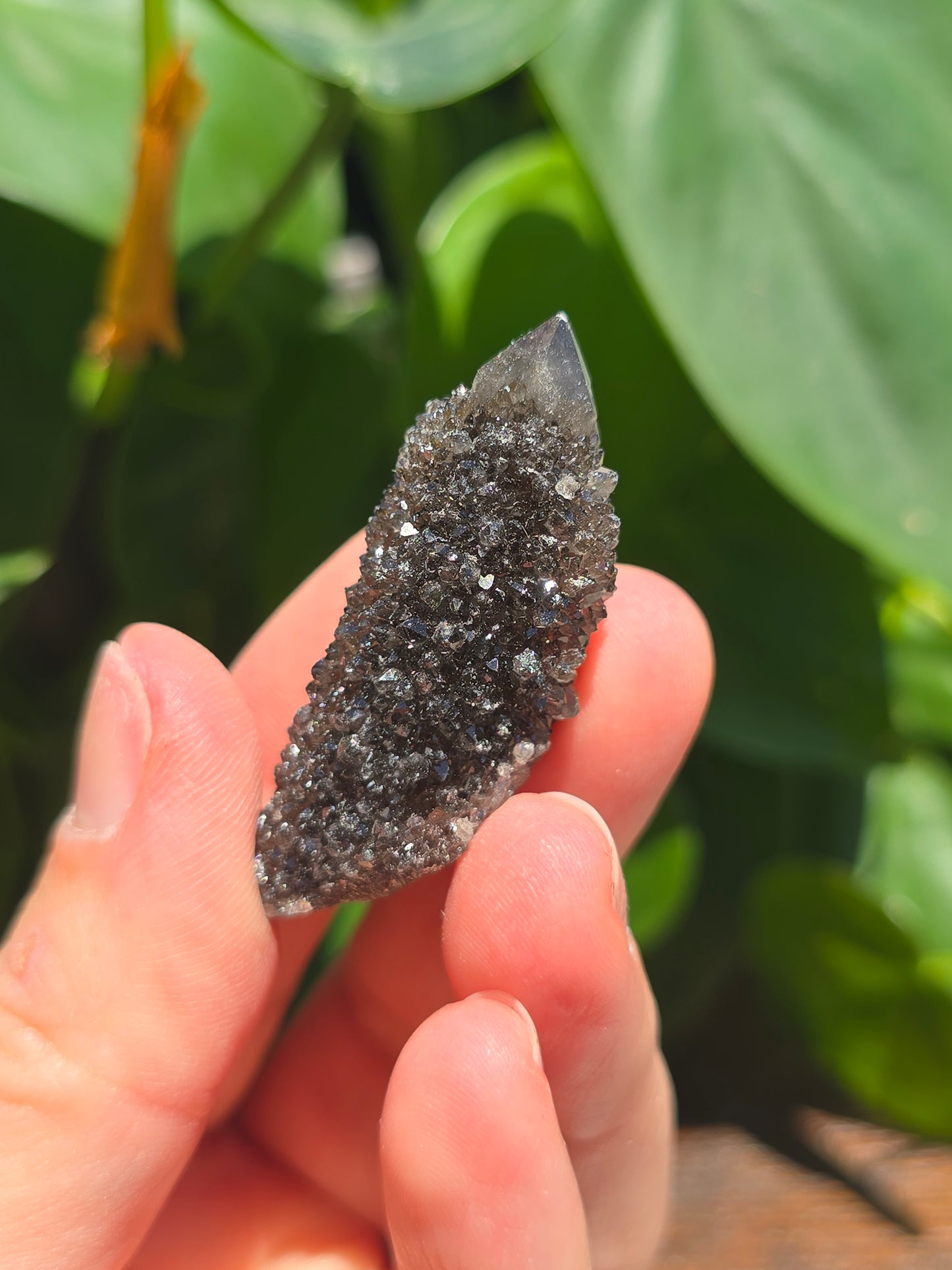 Smoky Black Spirit Quartz Specimen "D"