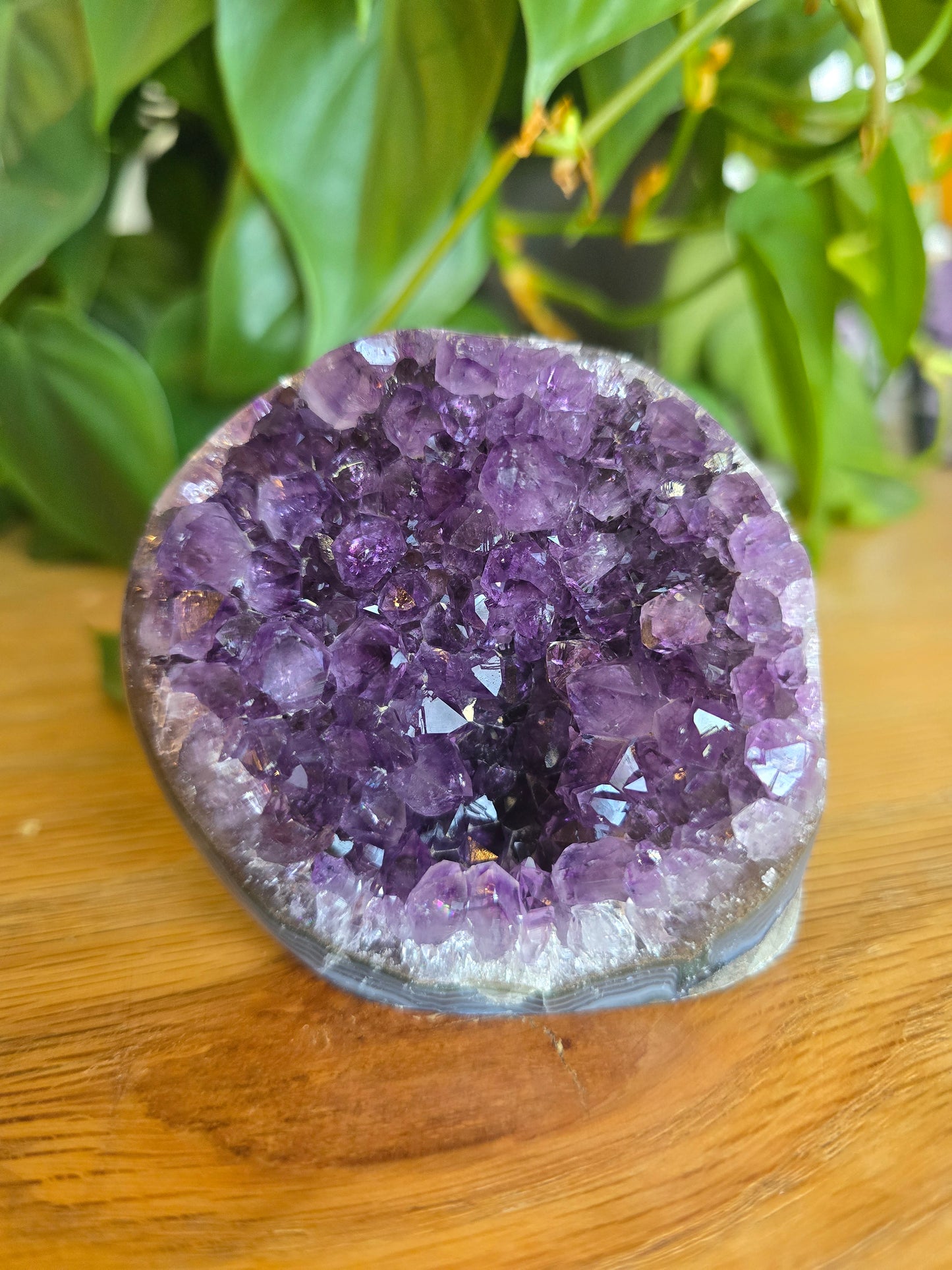 Druzy Amethyst Cluster