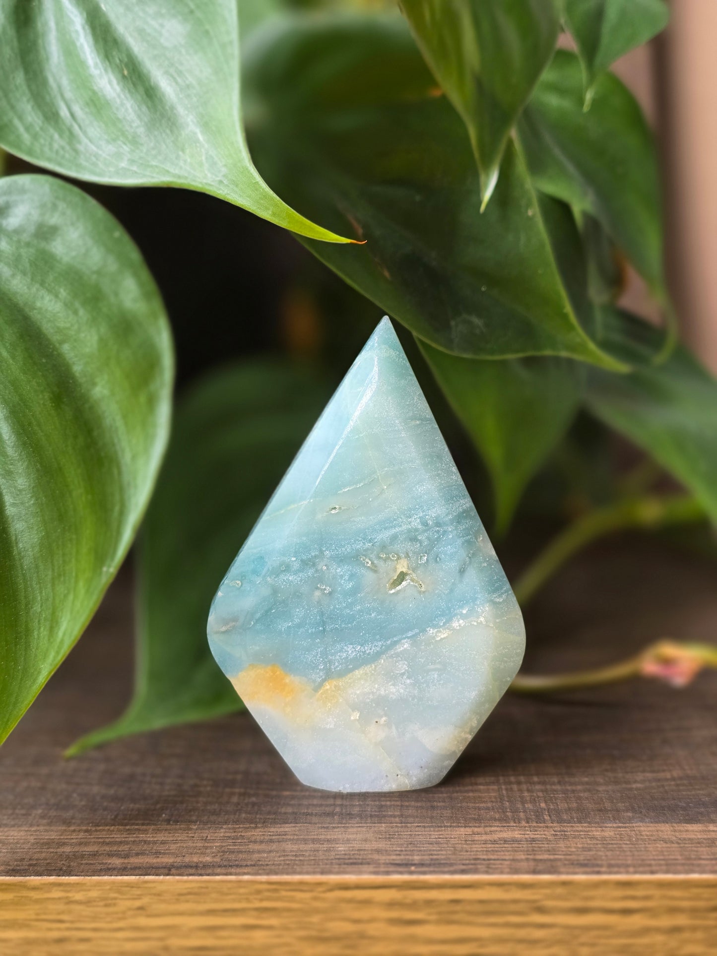 Caribbean Calcite Flipper