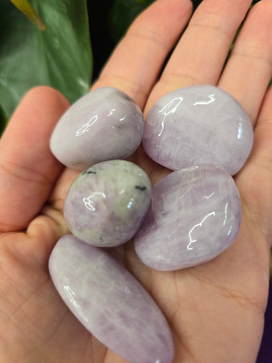 Kunzite Tumble Stone