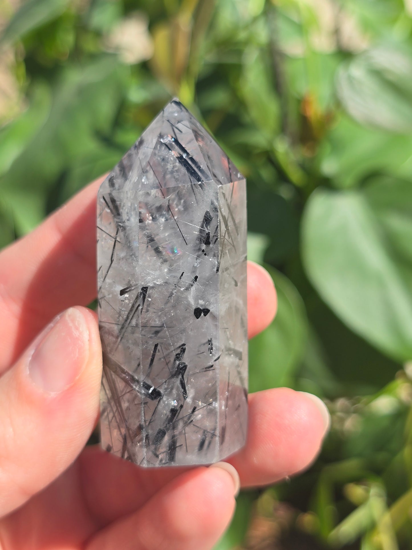 Black Tourmaline in Quartz Point "B"
