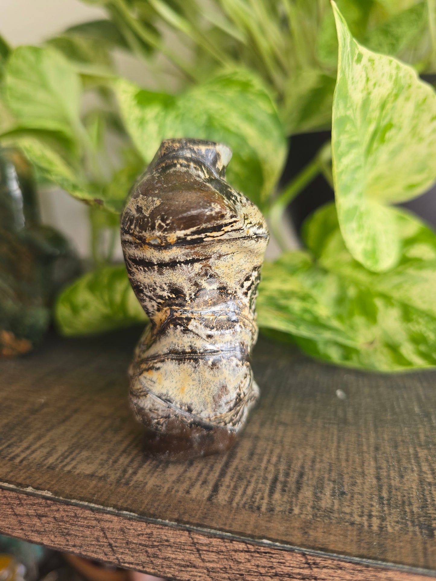 Picture Jasper Male Torso