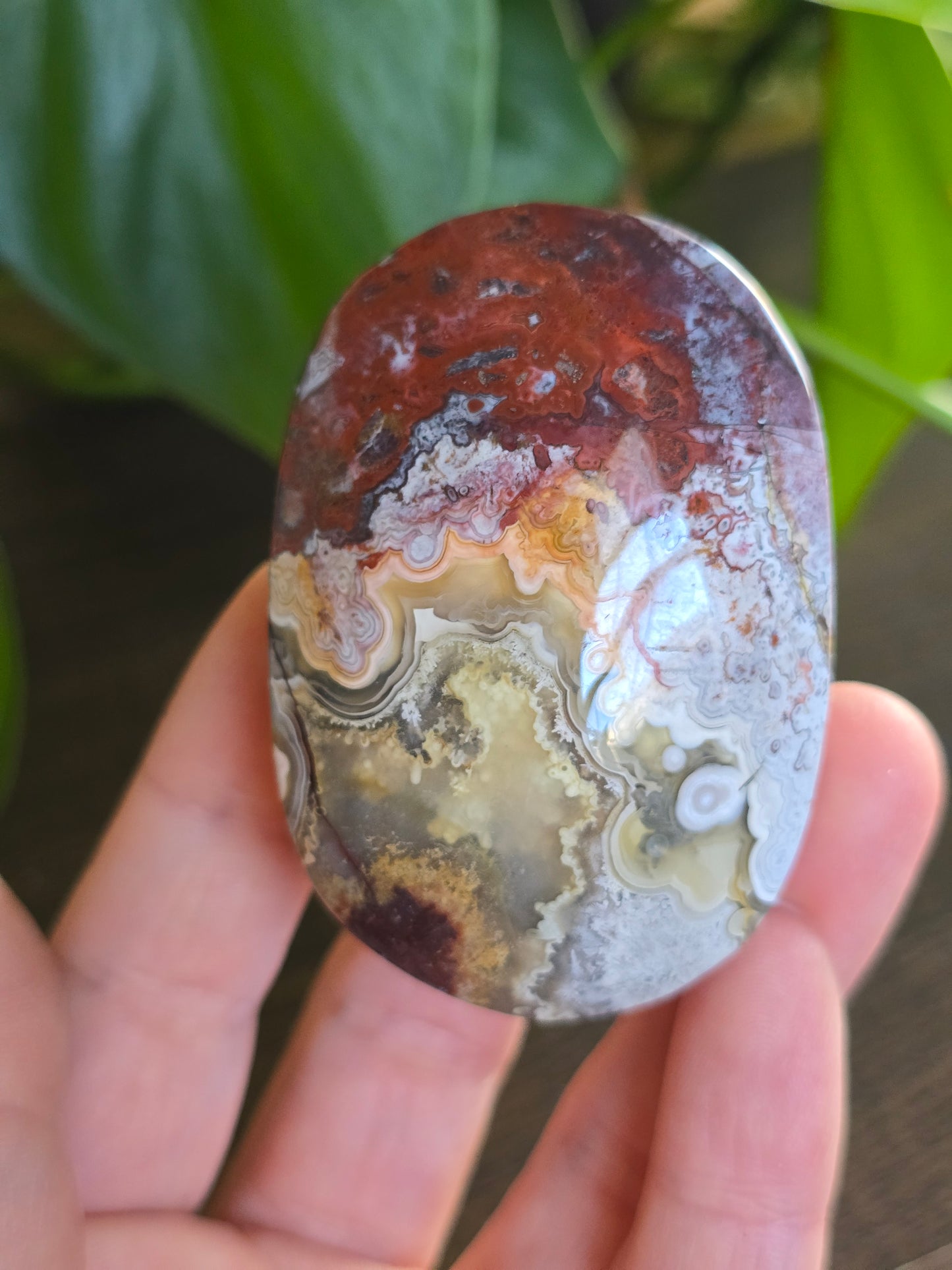 Red Mexican Crazy Lace Agate Palm Stone