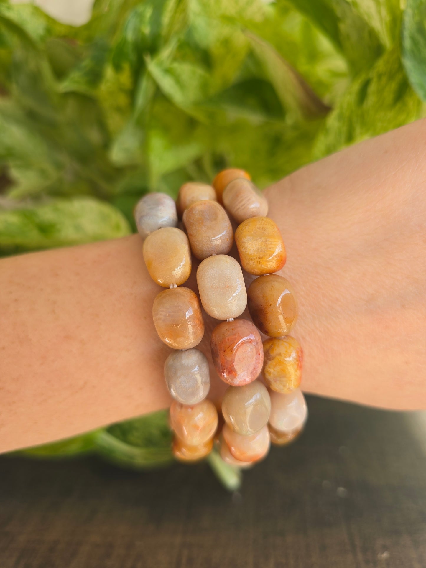 Fossil Coral Bracelet