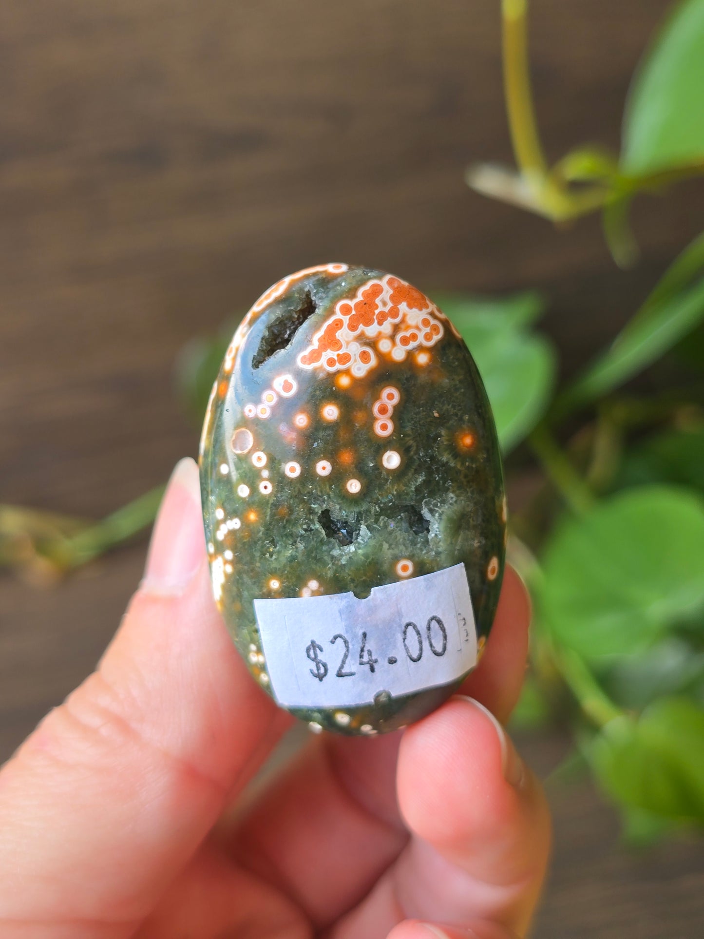 8th Vein Ocean Jasper Palm Stone