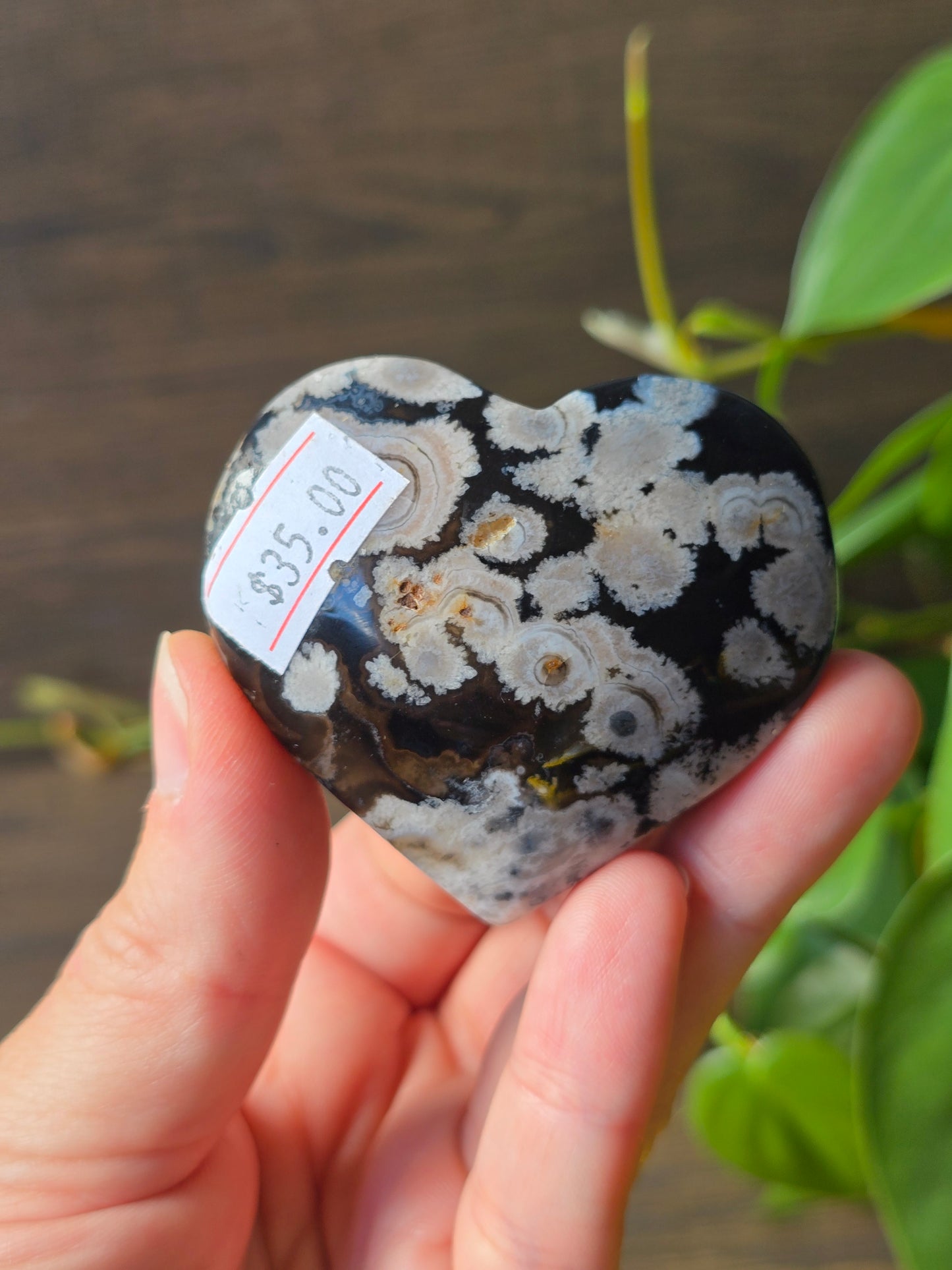 Black Flower Agate Heart