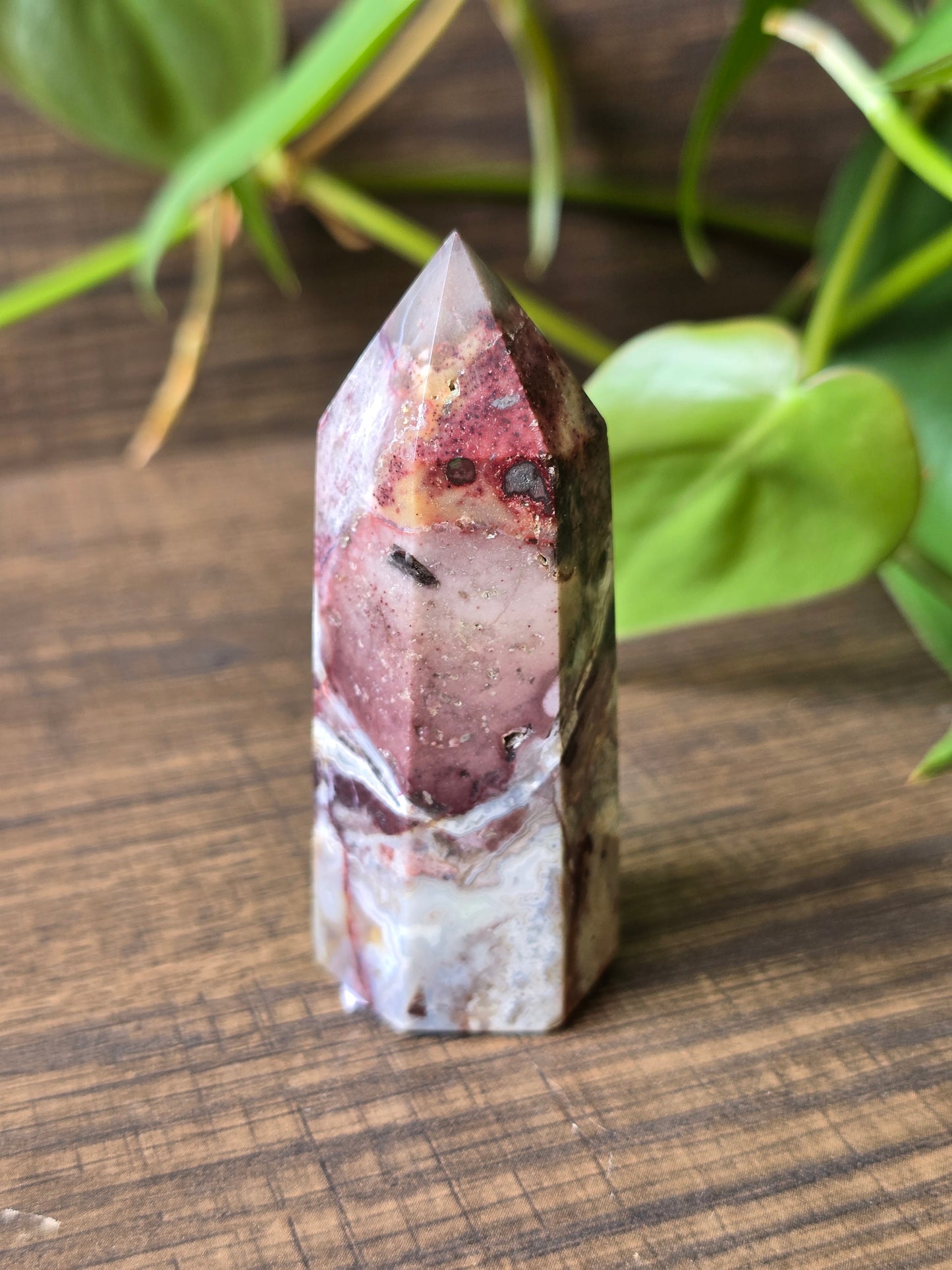 Crazy Lace Agate Point