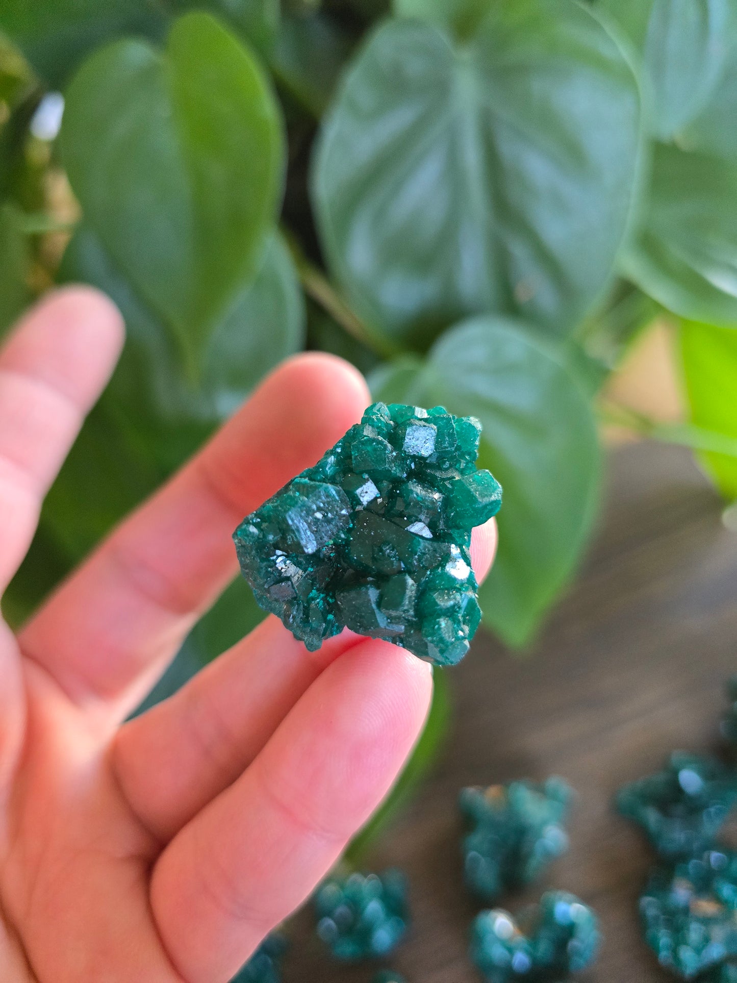 Dioptase Rough Specimen - Congo (29)