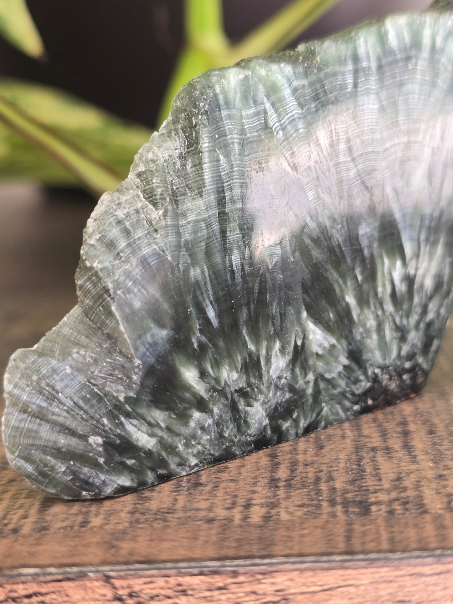 Seraphinite Mini Slab