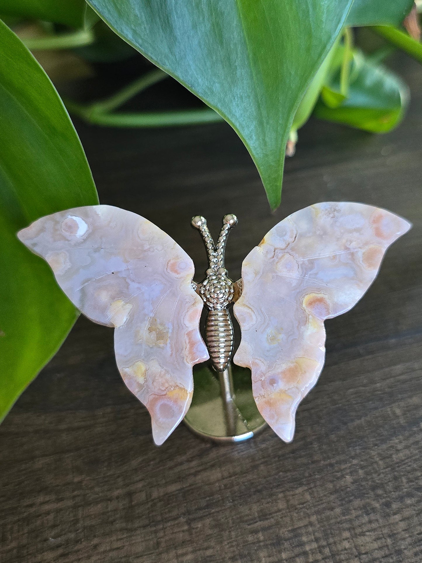 Flower Agate Butterfly Wings