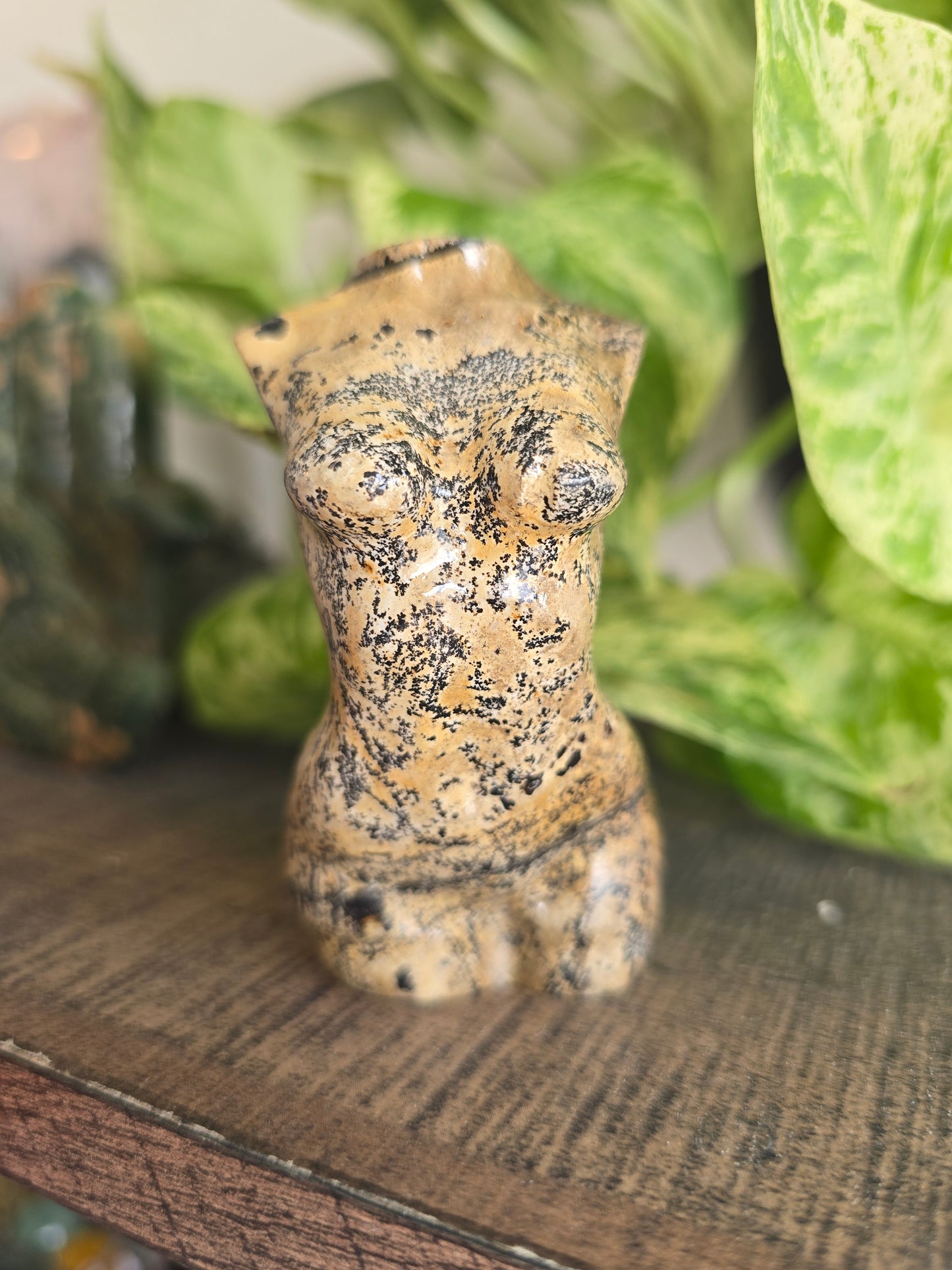 Picture Jasper Female Torso