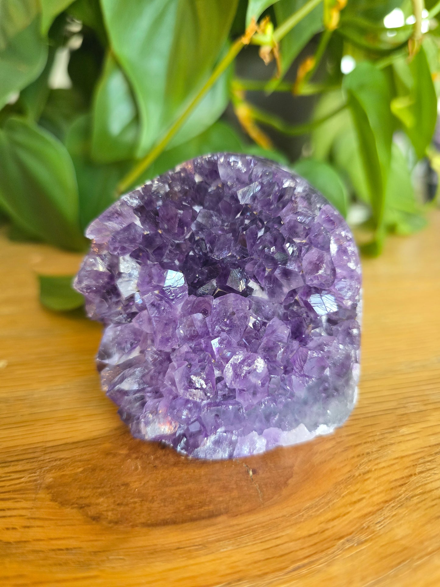 Druzy Amethyst Cluster