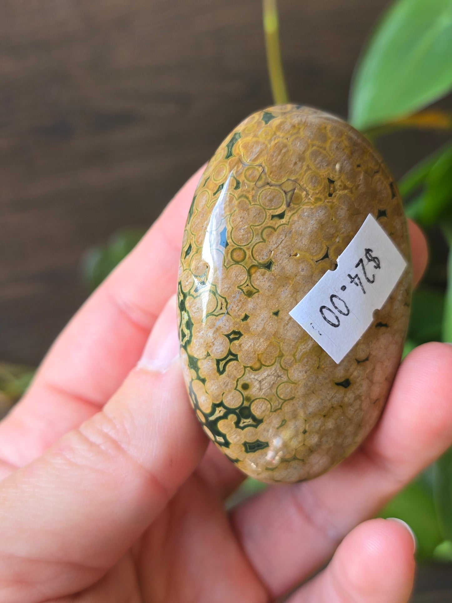 8th Vein Ocean Jasper Palm Stone