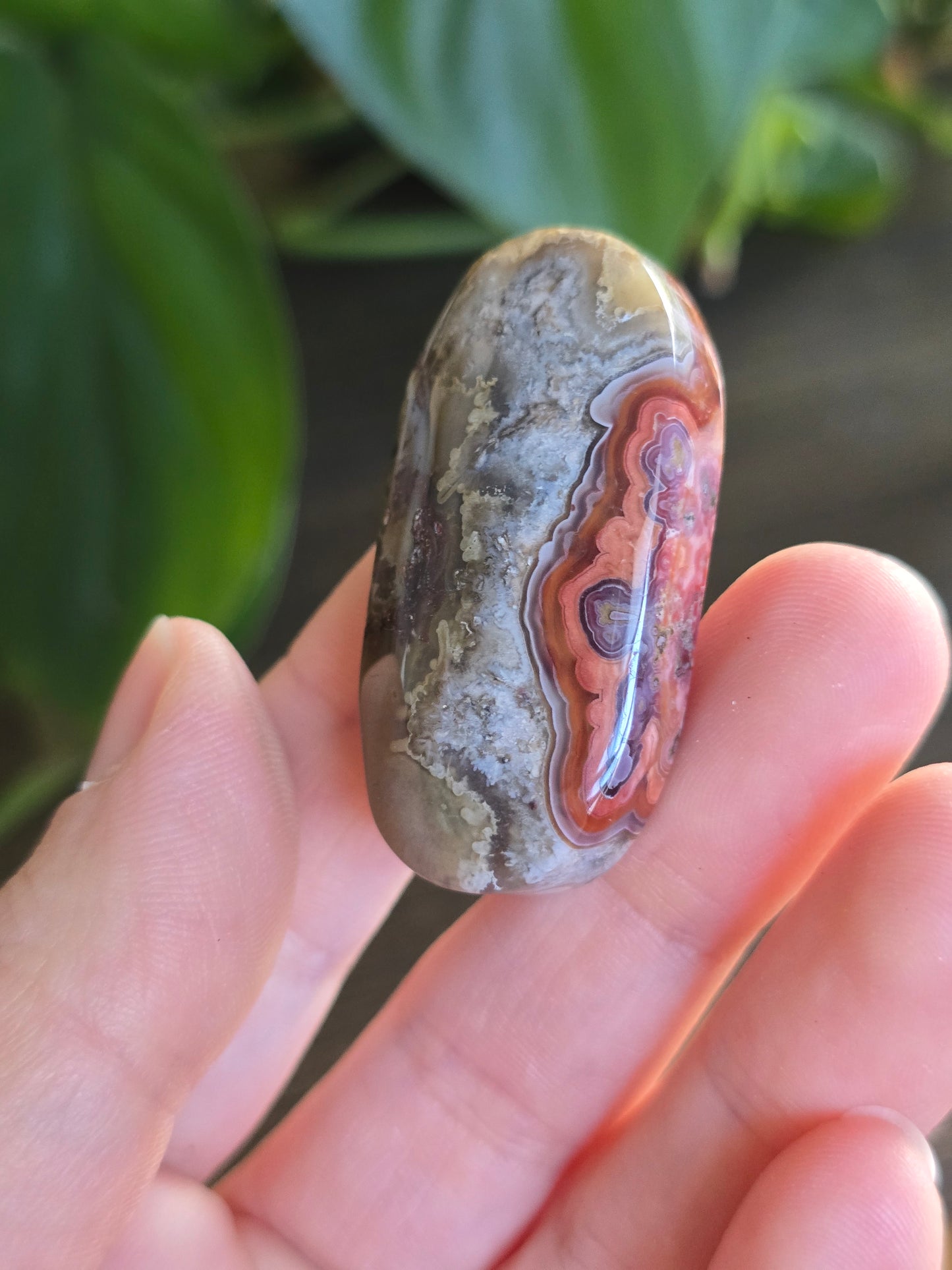 Red Mexican Crazy Lace Agate Palm Stone
