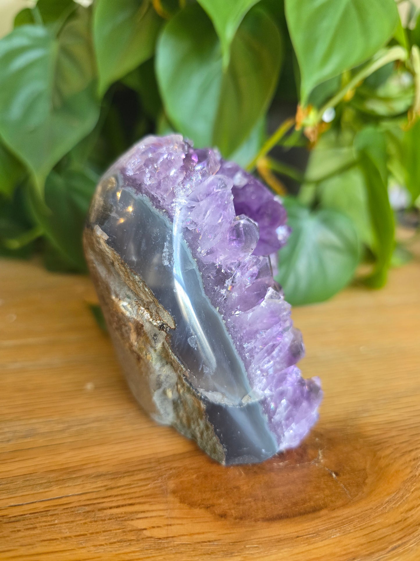 Druzy Amethyst Cluster