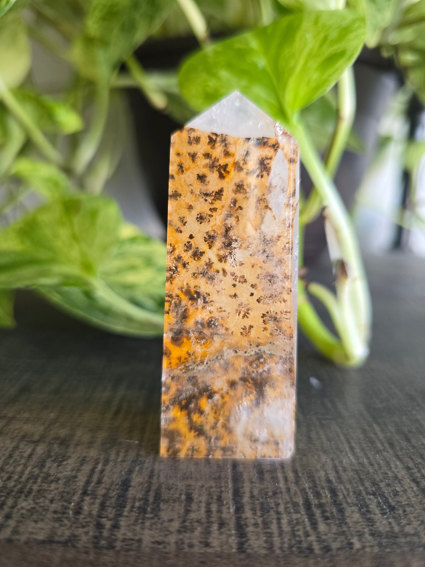 Dendritic Quartz Obelisk