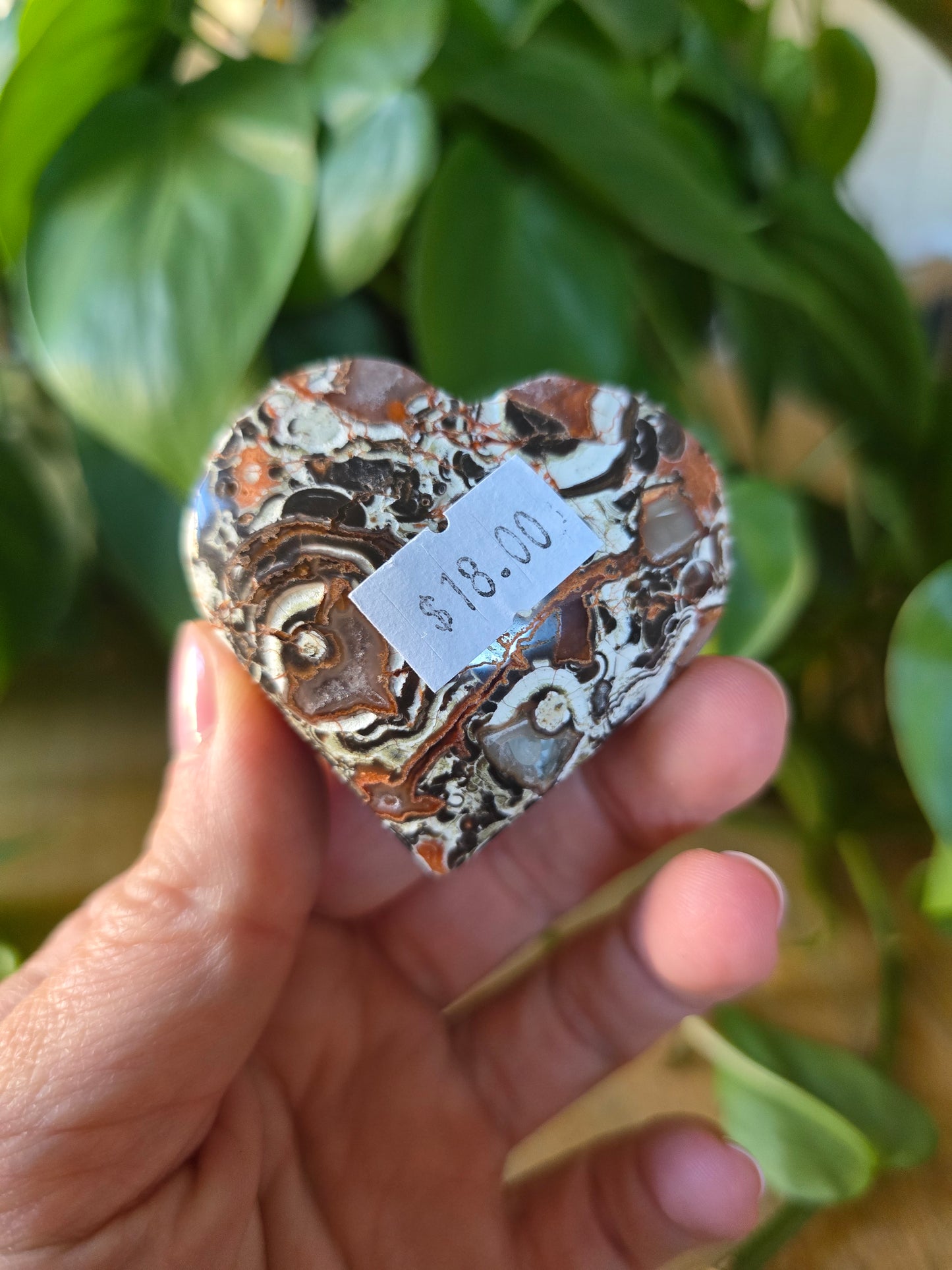 Money Agate Heart