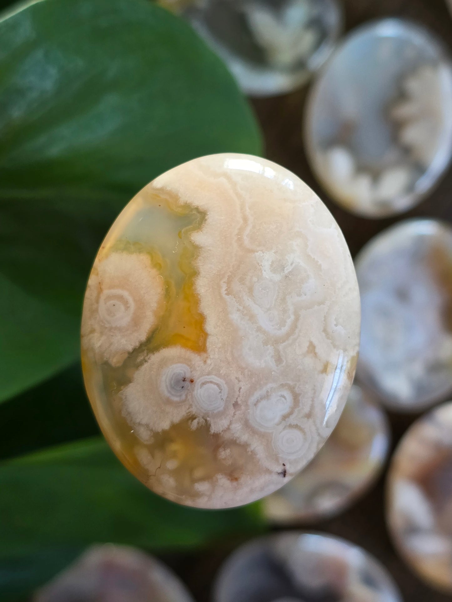 Flower Agate Worry Stone