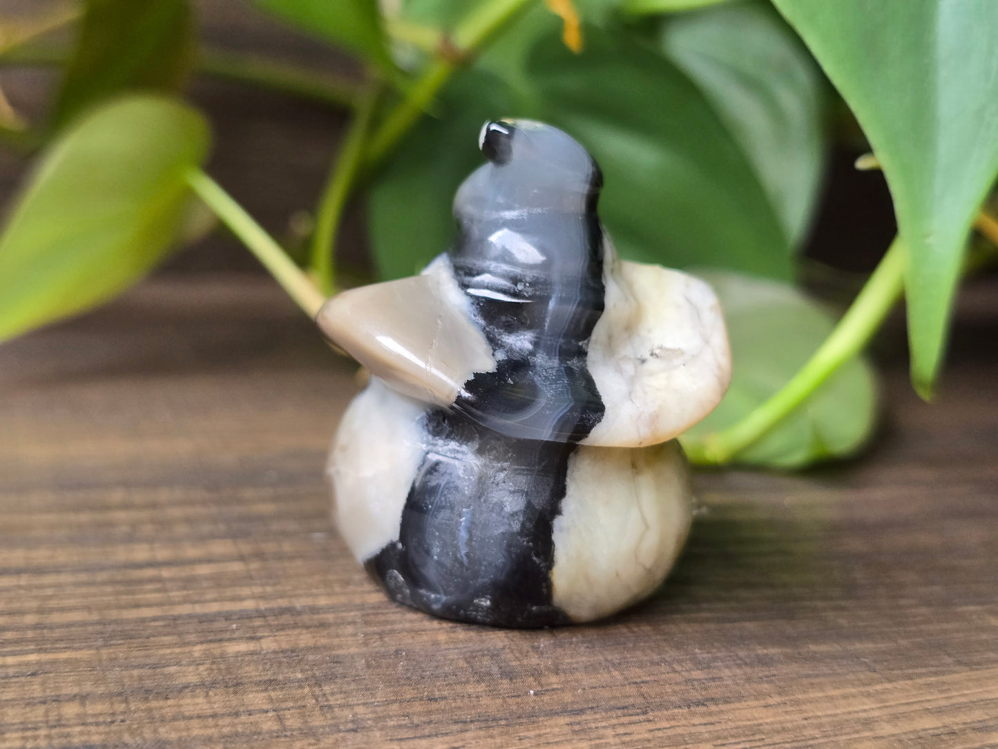 Volcano Agate Pumpkin Witch