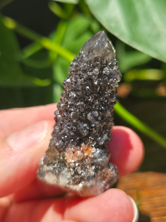 Smoky Black Spirit Quartz Specimen "B"