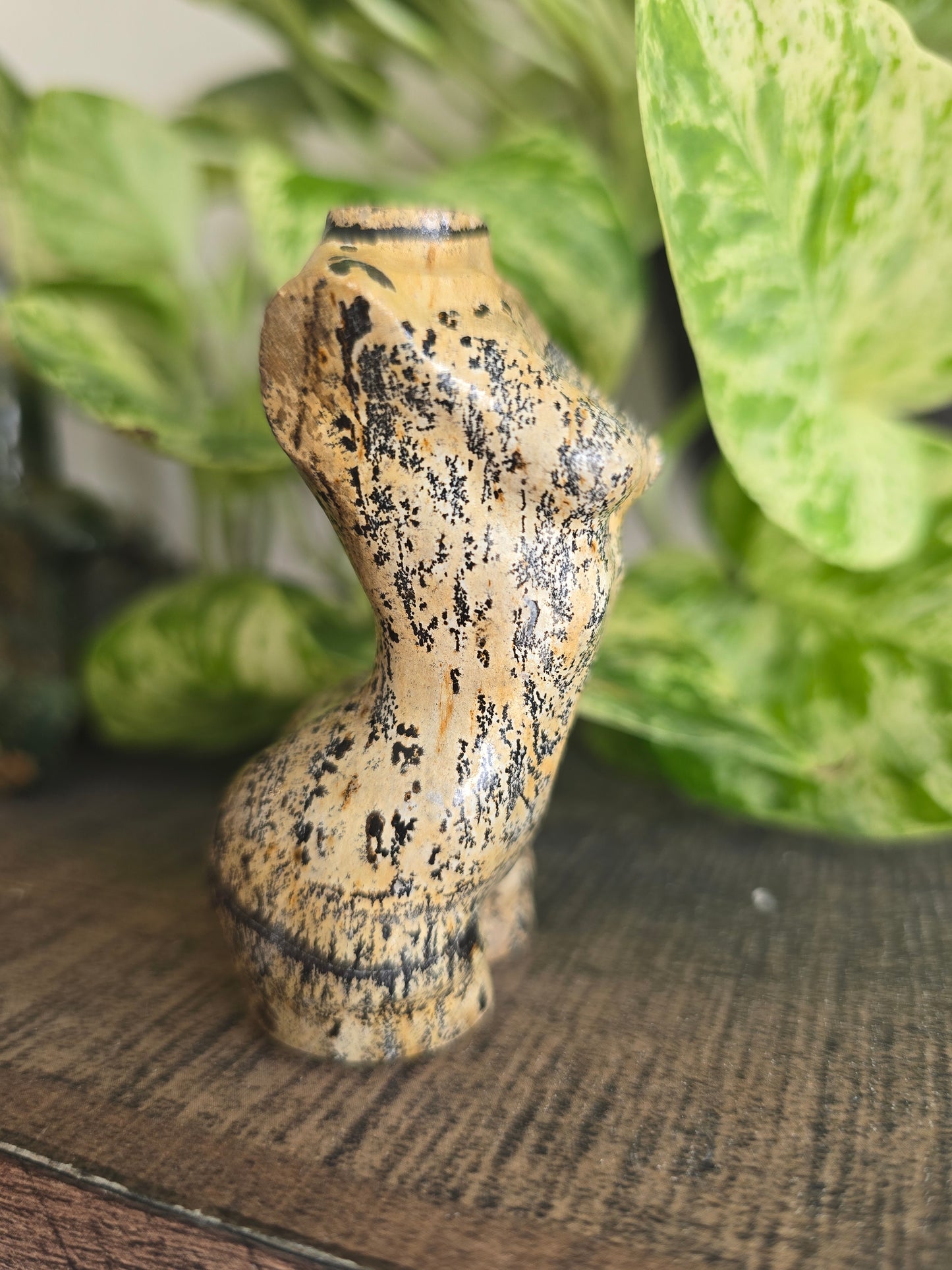 Picture Jasper Female Torso