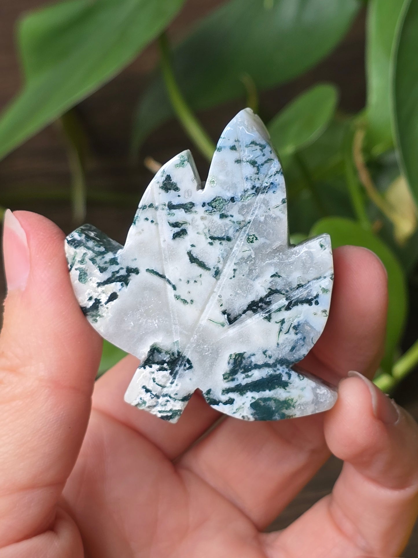 Moss Agate Leaf