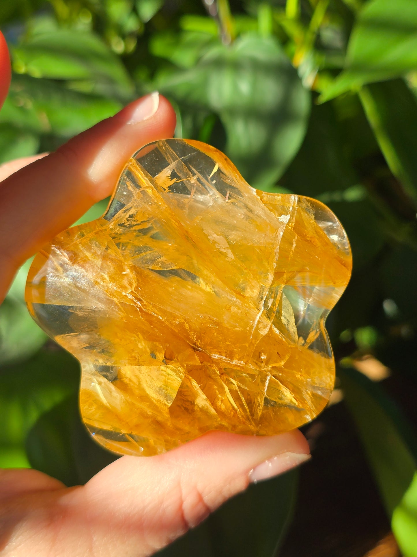 Golden Healer Flower Carving "D"