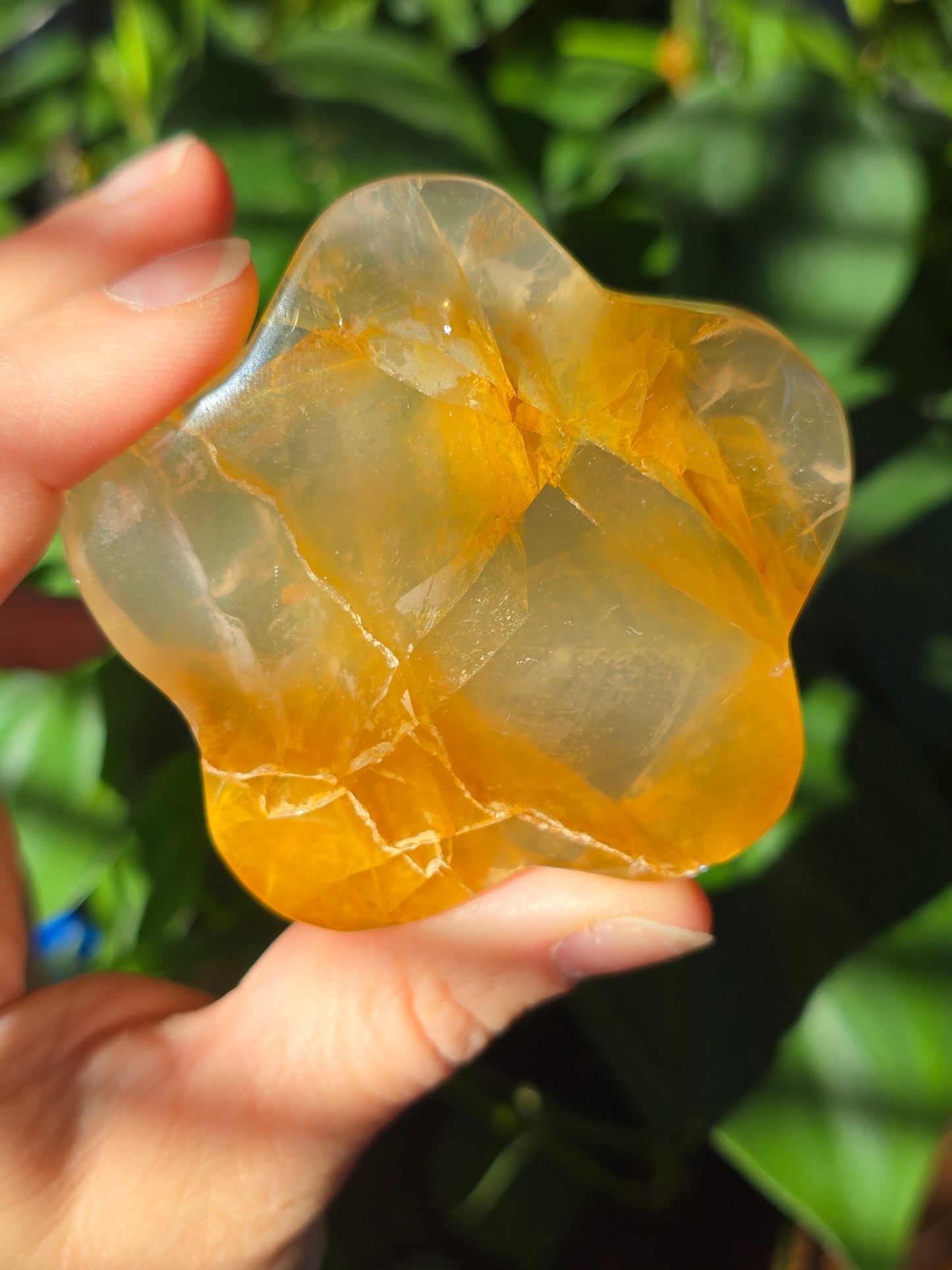 Golden Healer Flower Carving "G"