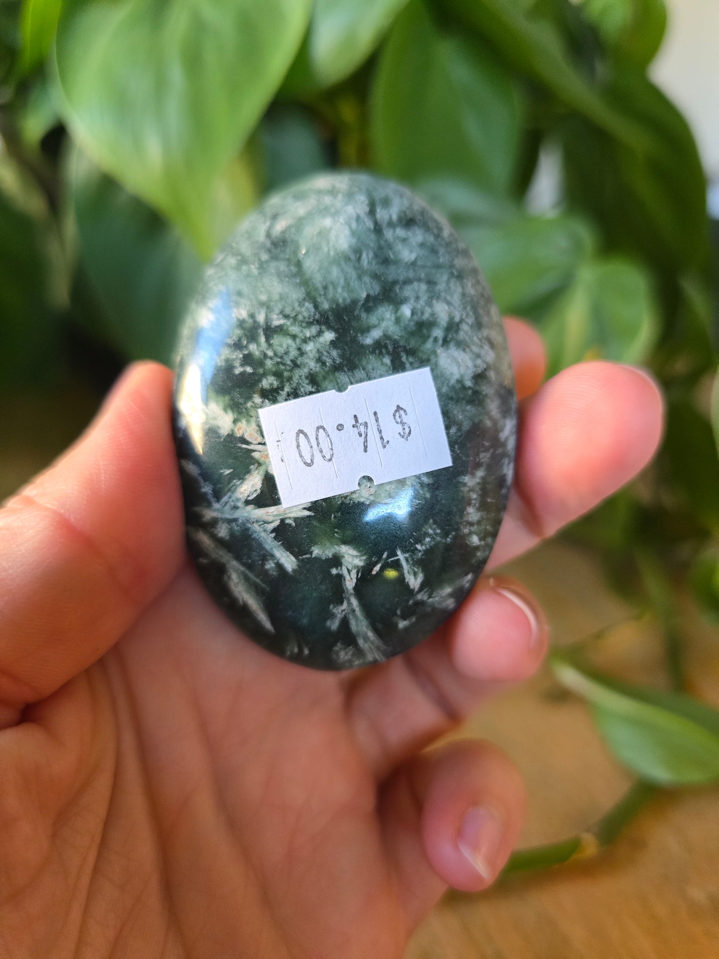 Afghani Jade Palm Stone