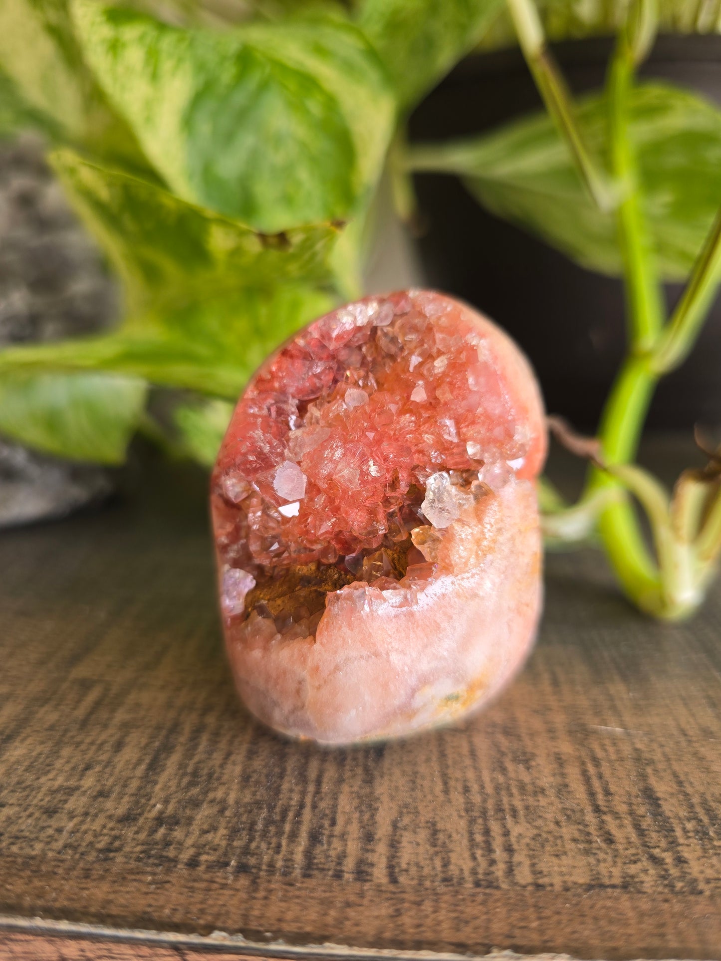 Brazilian Pink Amethyst Cluster