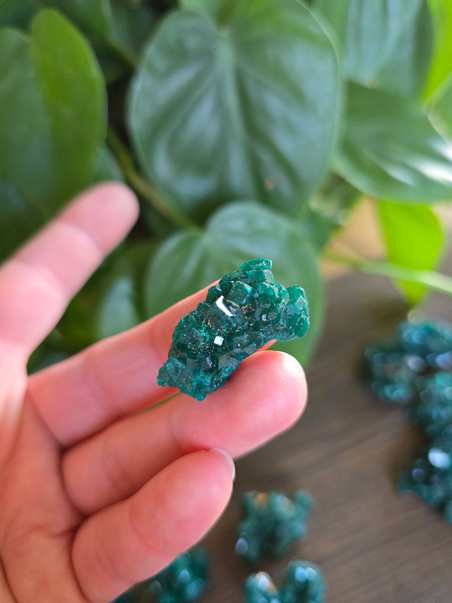 Dioptase Rough Specimen - Congo (18)