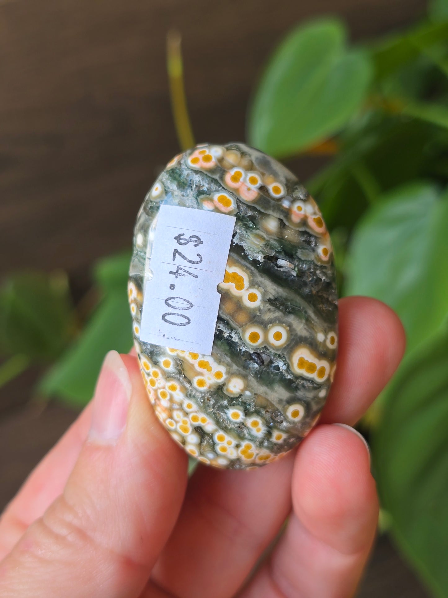 8th Vein Ocean Jasper Palm Stone