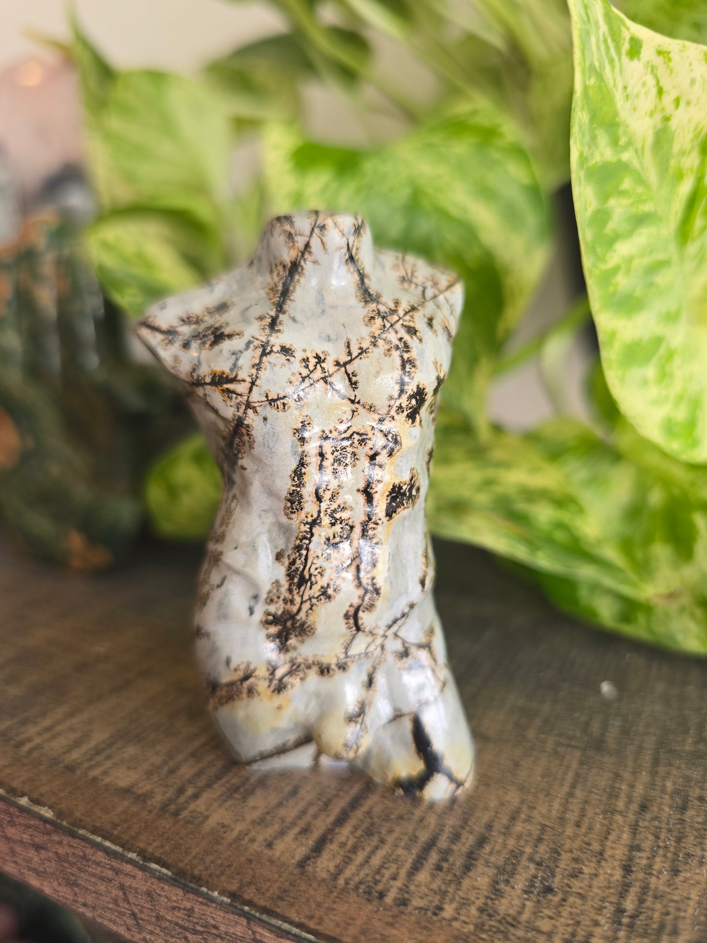 Picture Jasper Male Torso