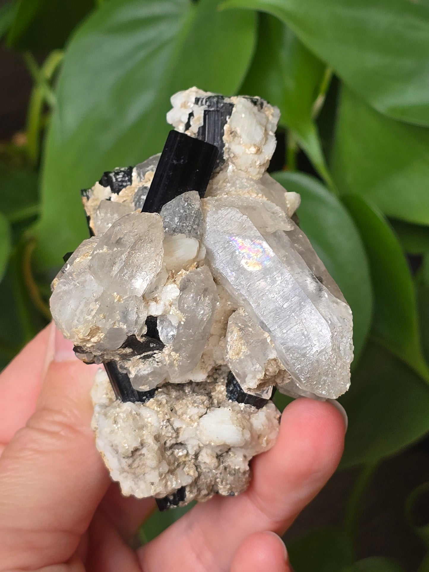 High Quality Black Tourmaline on Quartz Matrix