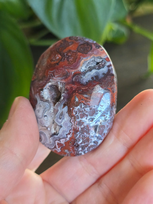 Red Mexican Crazy Lace Agate Palm Stone