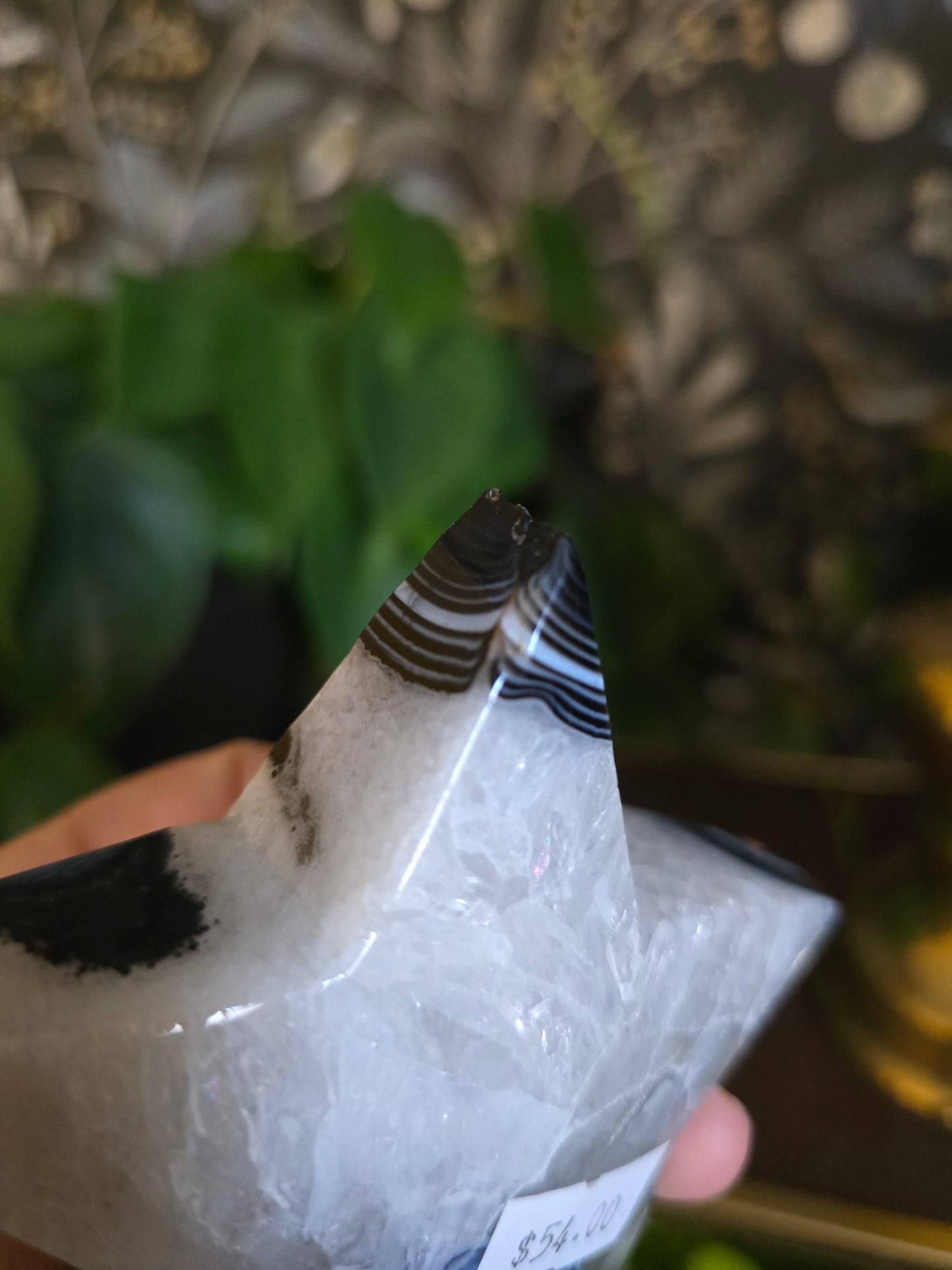 Black Onyx and Agate Star