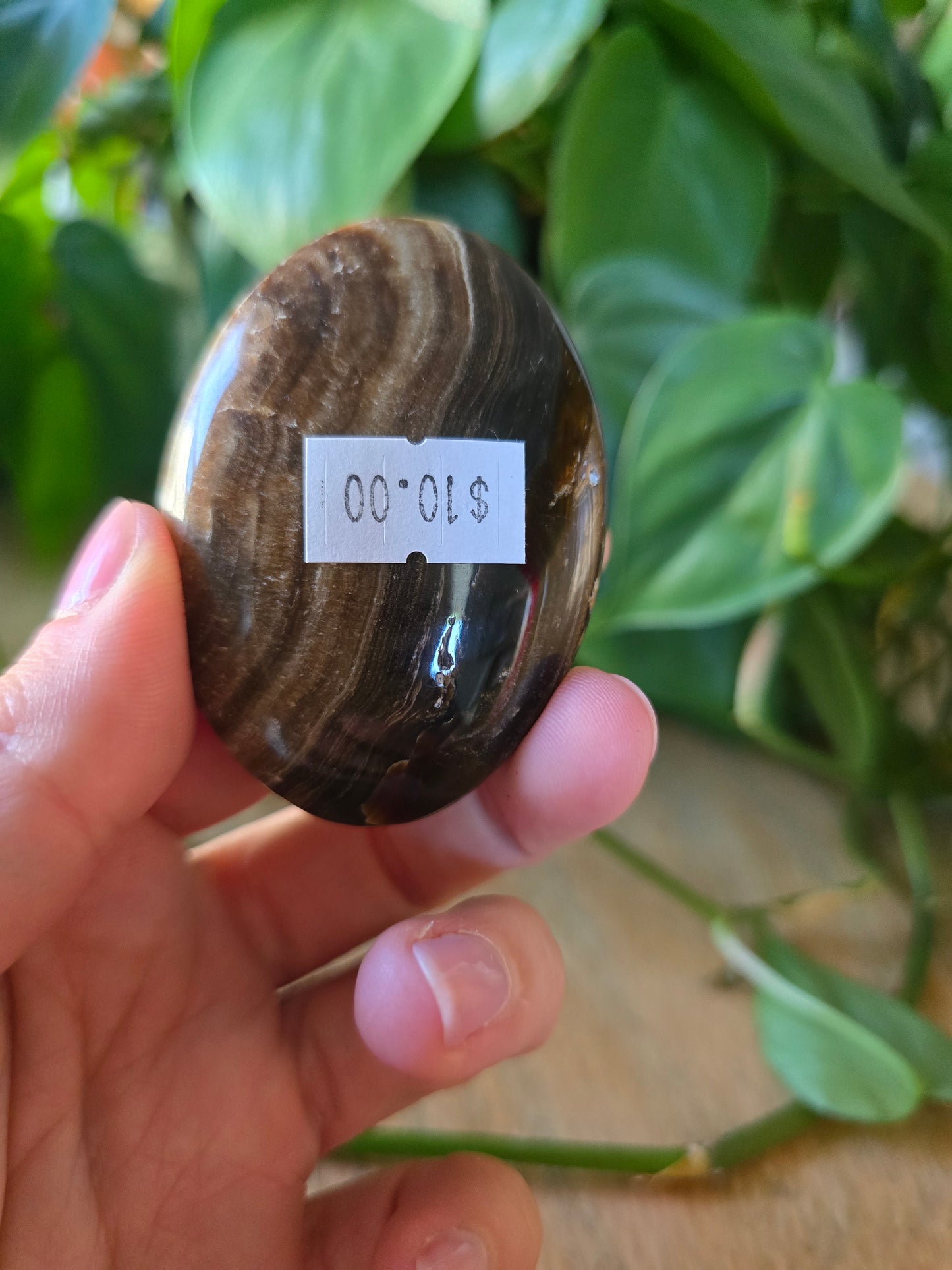 Chocolate Calcite Palm Stone