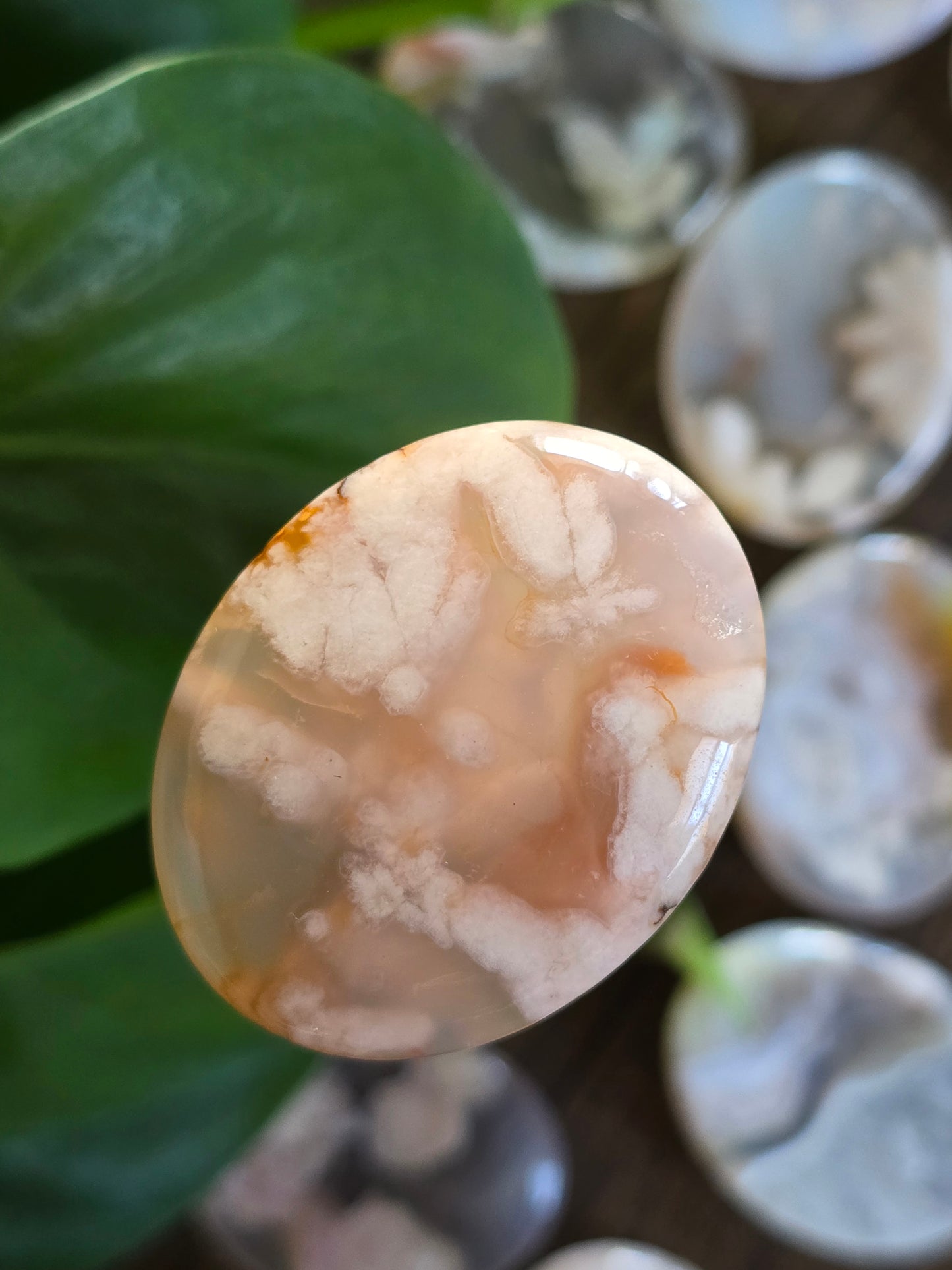 Flower Agate Worry Stone