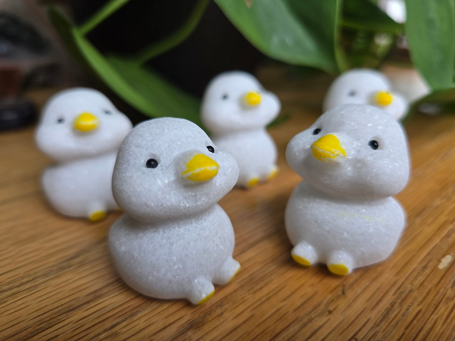 White Stone Ducks
