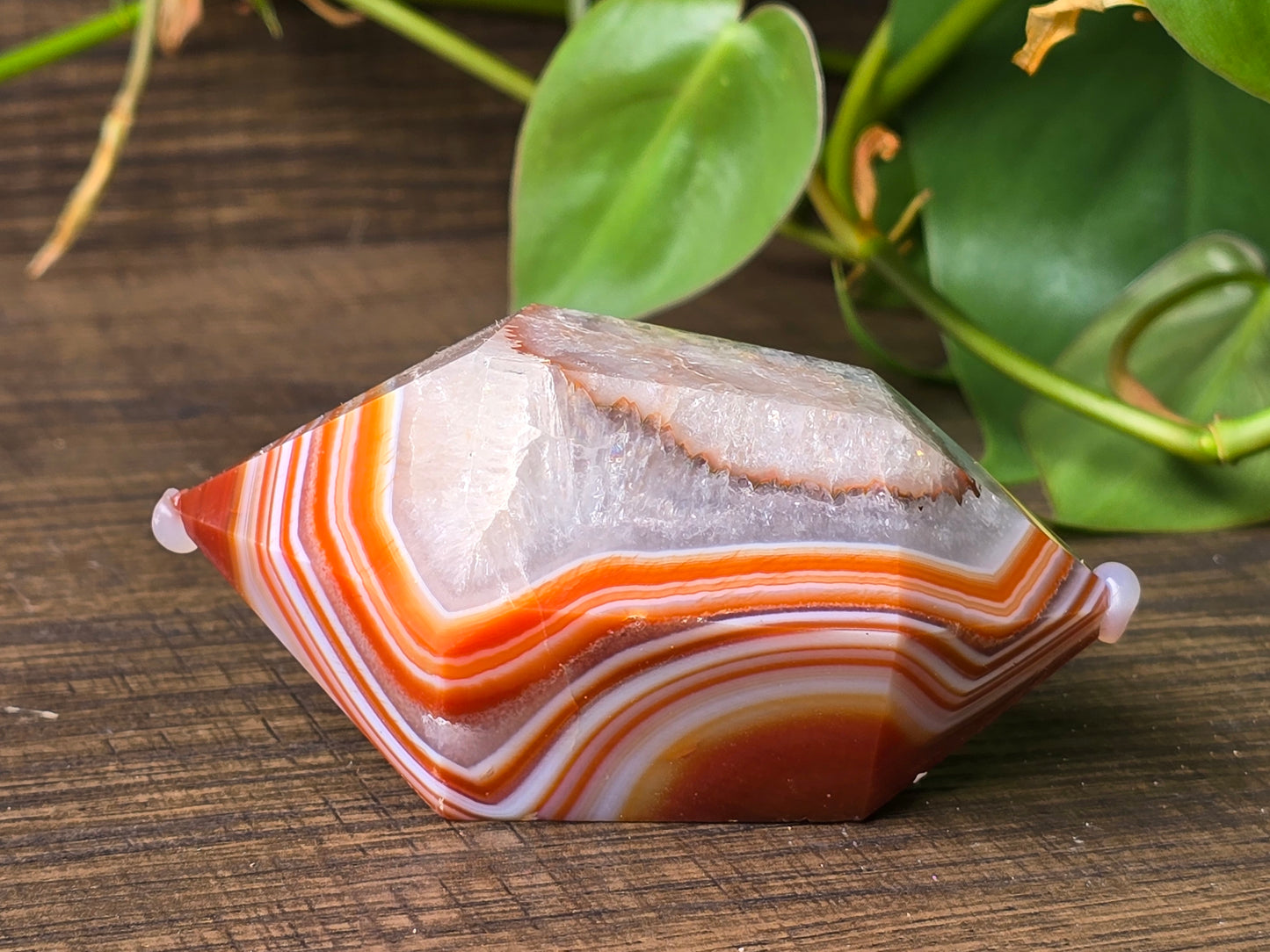 Carnelian Double Point