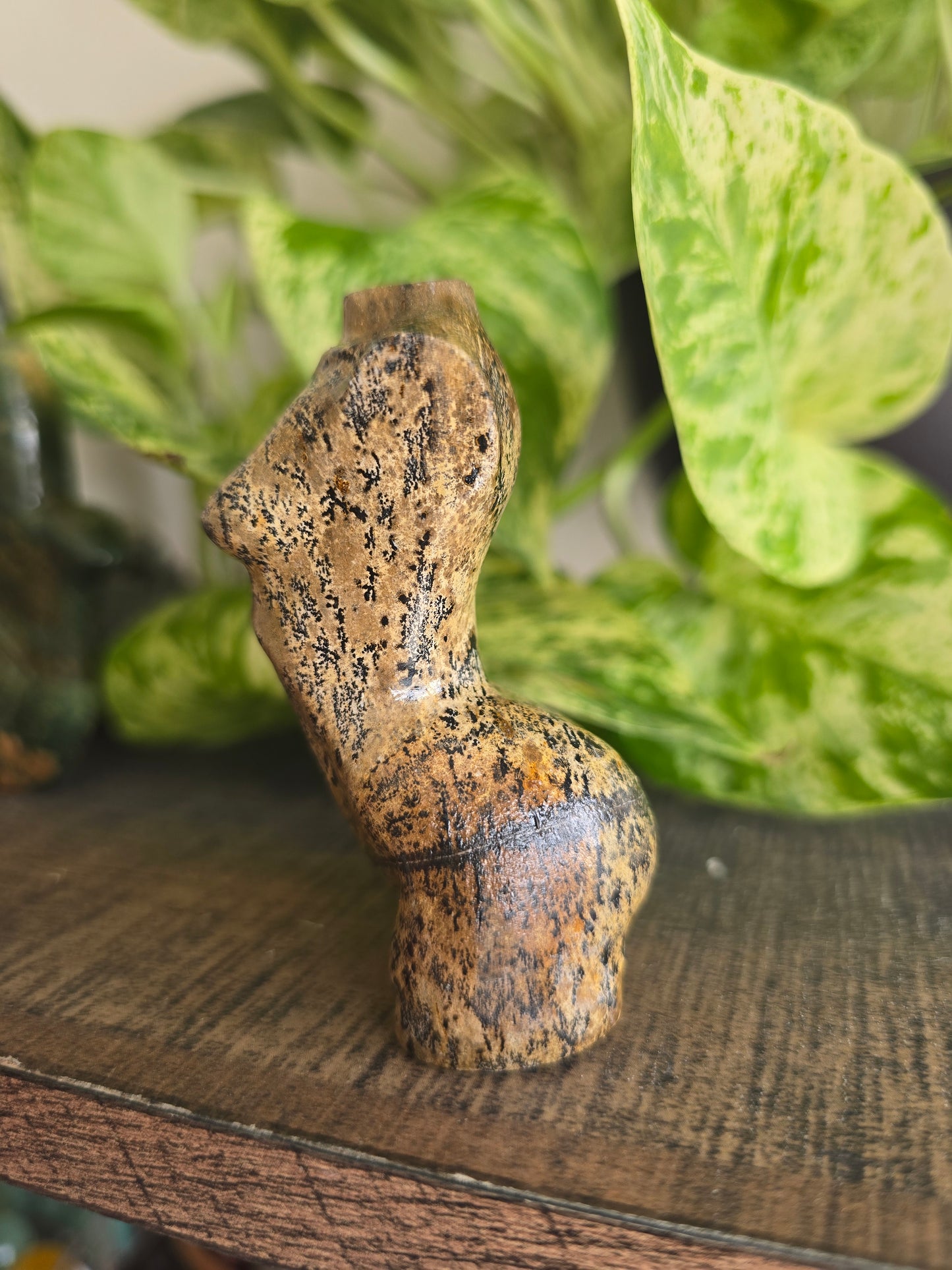 Picture Jasper Female Torso