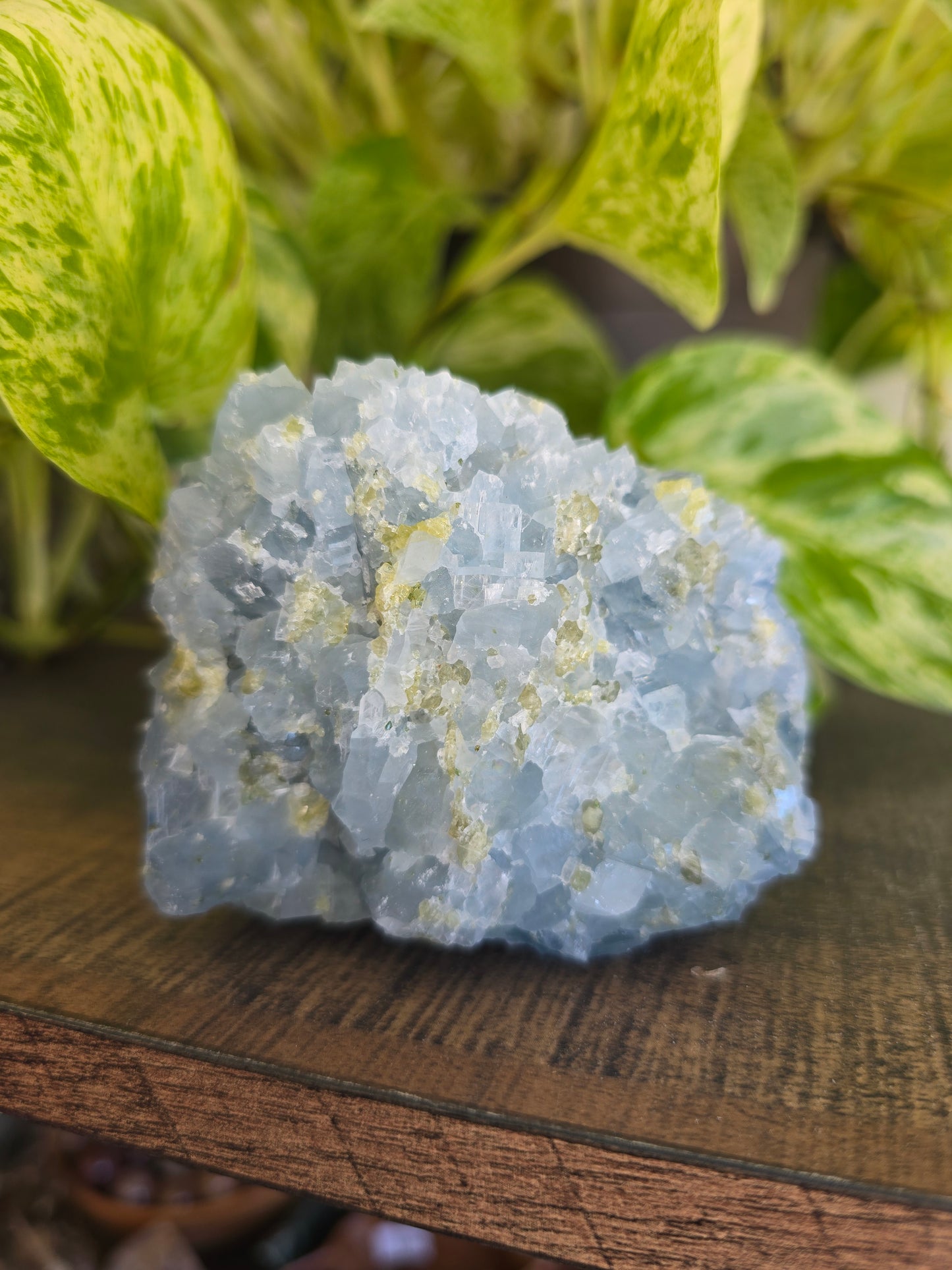 Celestite with Peridot Rough Specimen