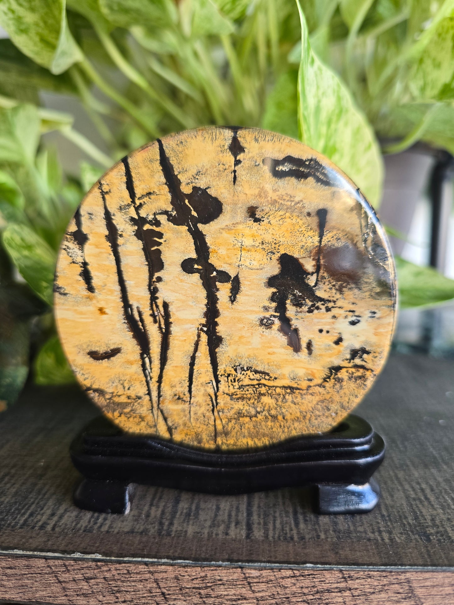 Picture Jasper Disk With Stand