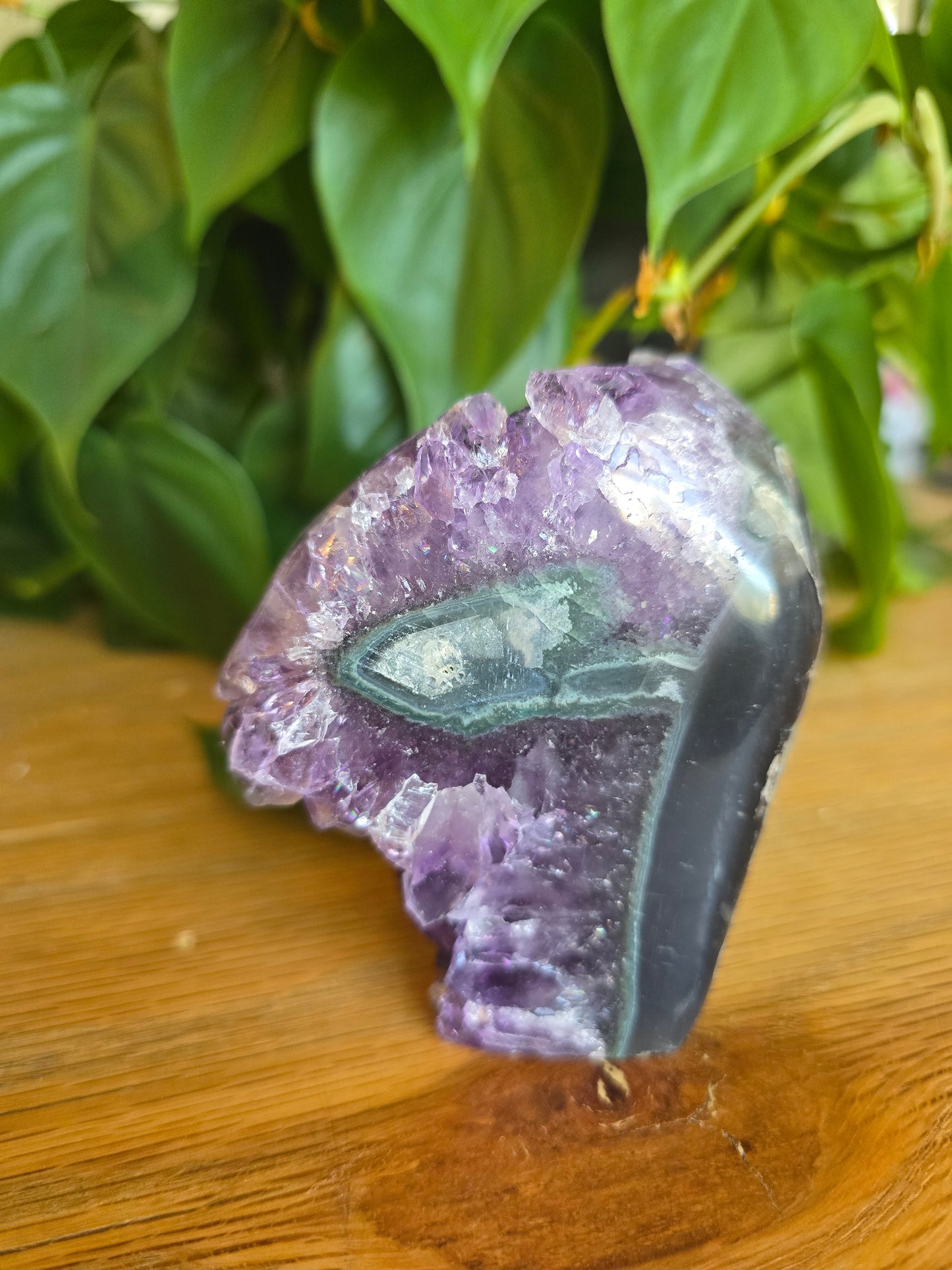 Druzy Amethyst Cluster