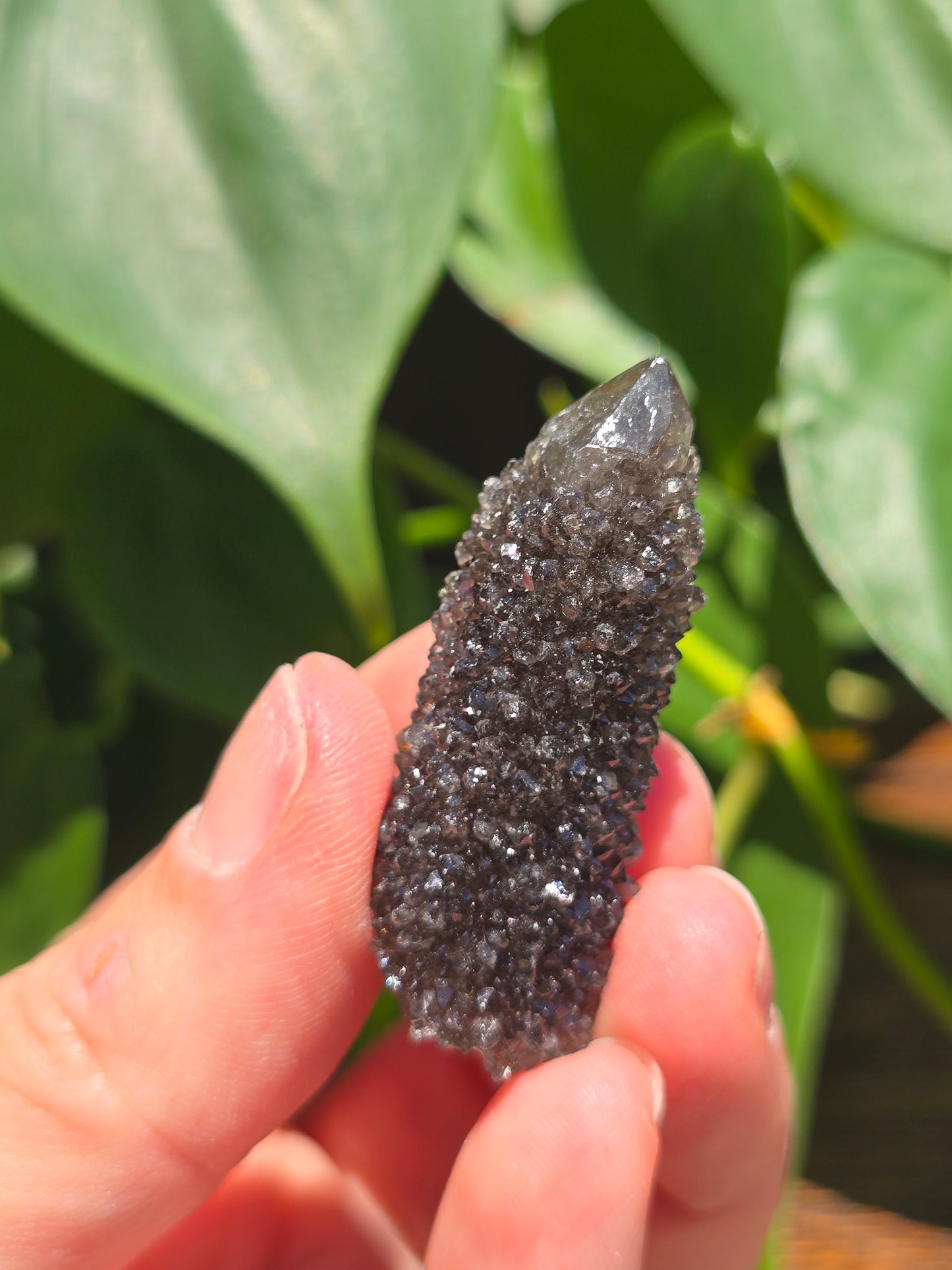 Smoky Black Spirit Quartz Specimen "F"