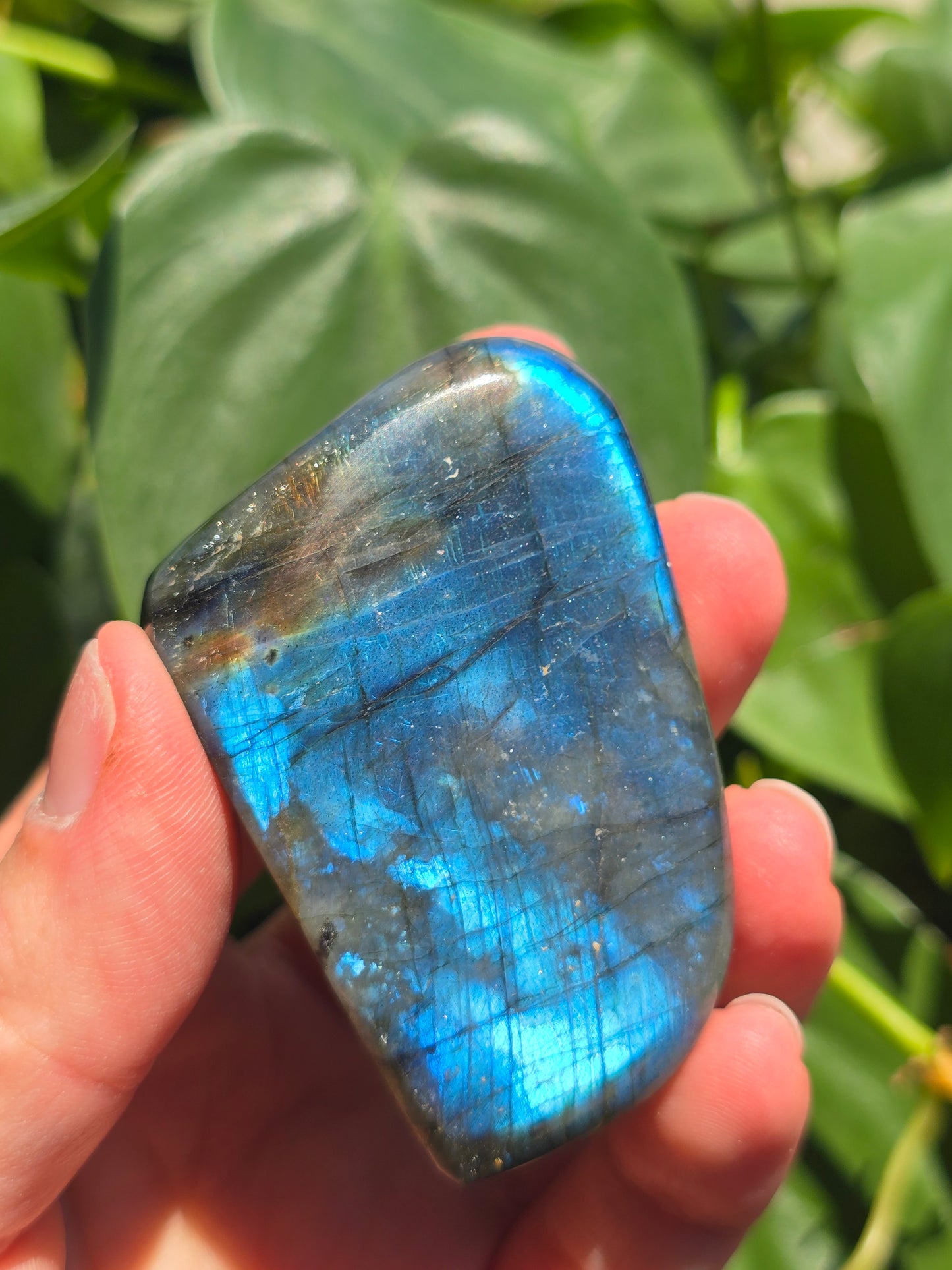 Labradorite Crystal Free Form Carving "B"