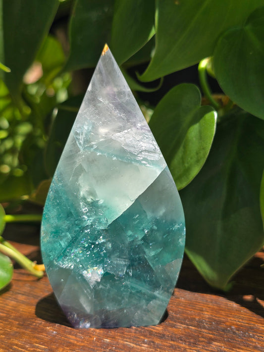Rainbow Fluorite Flipper "B"
