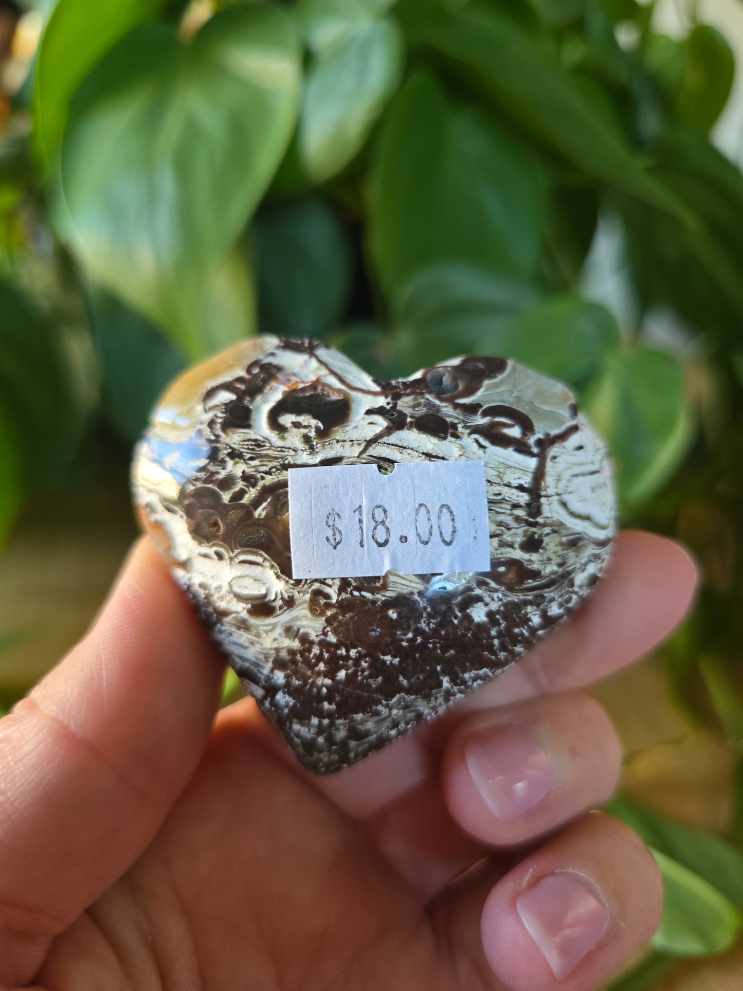 Money Agate Heart